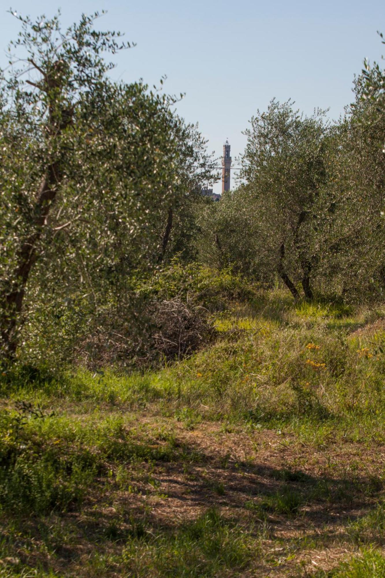Podere Piazza Casa Dell'Arcivescovo Siena Zewnętrze zdjęcie